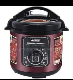 Avinas Electric Pressure Pot