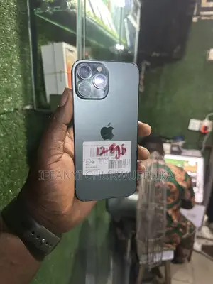 Apple iPhone 13 Pro Max 128 GB Green