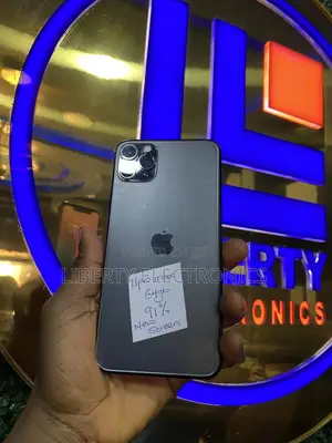 Apple iPhone 11 Pro Max 64 GB Gray