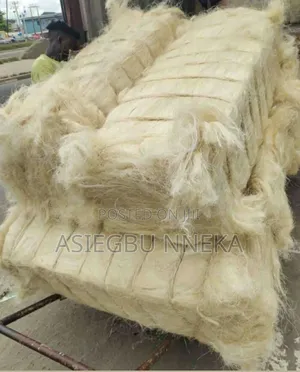 Tanzanian Pop Sponge (Fillas)100kg