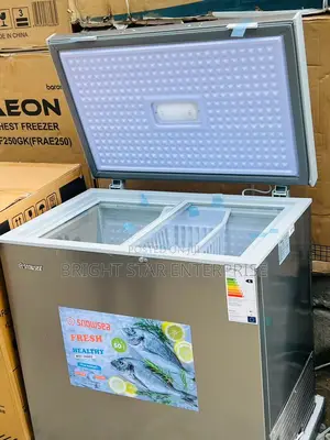 Snowsea Freezer 285litter