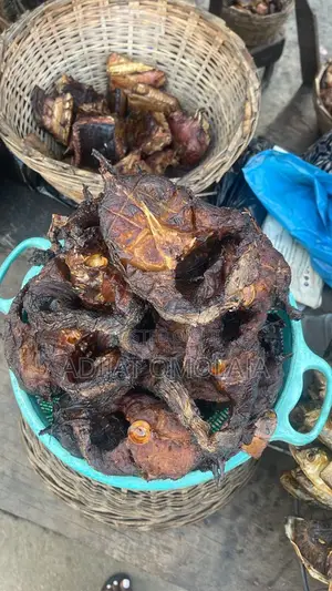 Eja Osan(African Knife Fish)