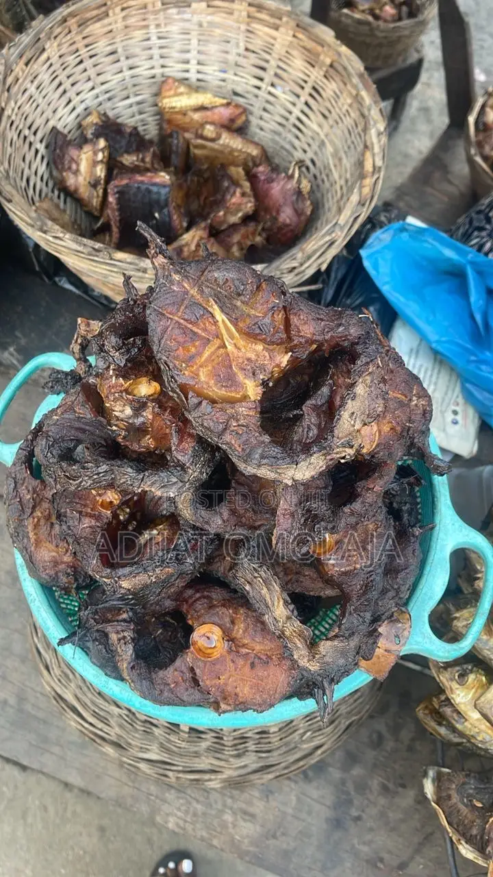 Eja Osan(African Knife Fish)