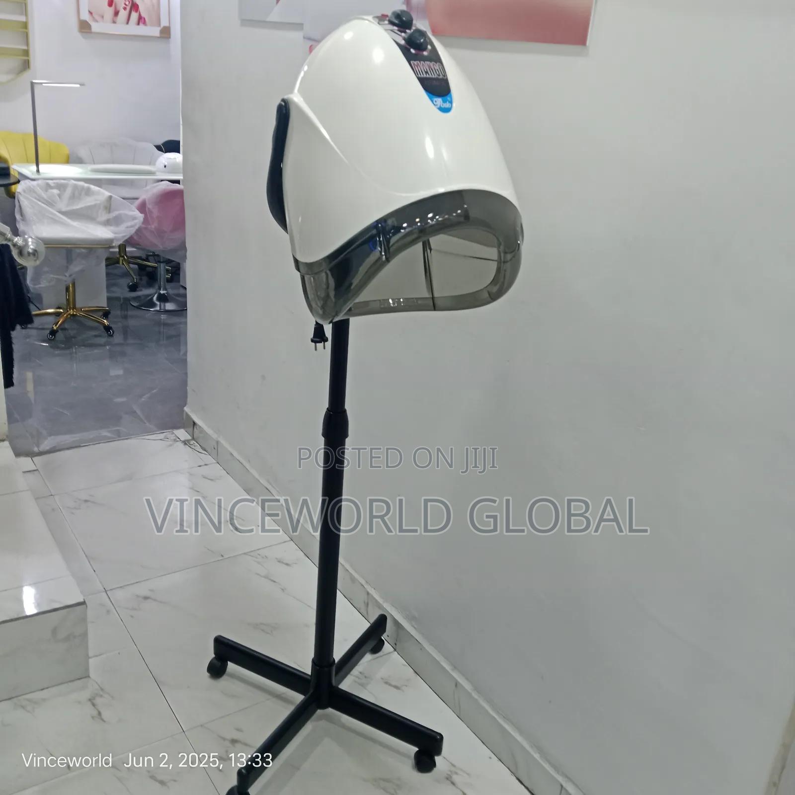 Standing Hair Steamer