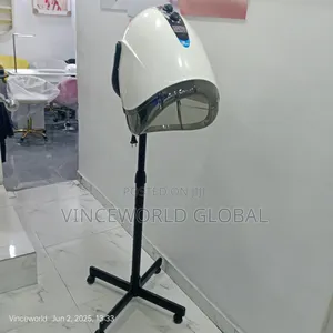 Standing Hair Steamer