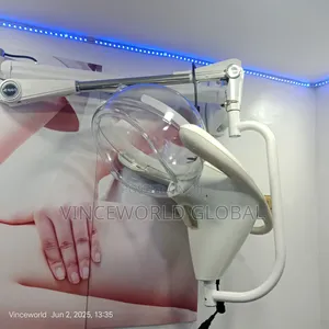 Professional Wave Wall Steamer