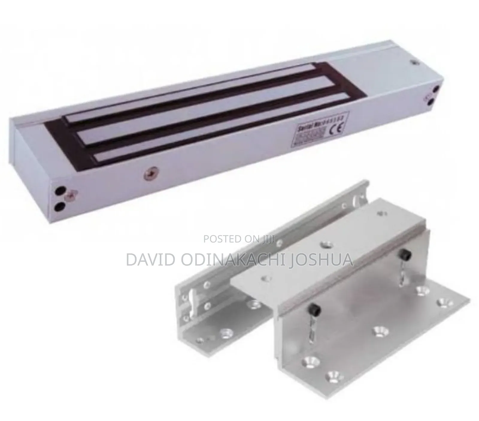 Electronic Locks Manufacturing Expert