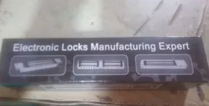 Electronic Locks Manufacturing Expert