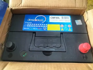 Everstart Cmf80l 80ah 12v Sealed Calcium Mf Battery. Korean