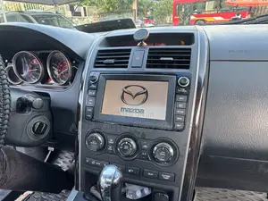 Mazda CX-9 2010 Gray