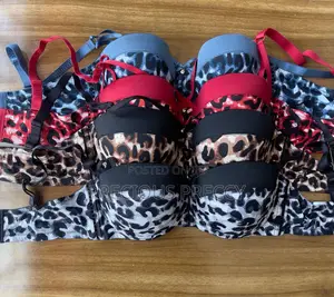 Beautiful Harness Bra