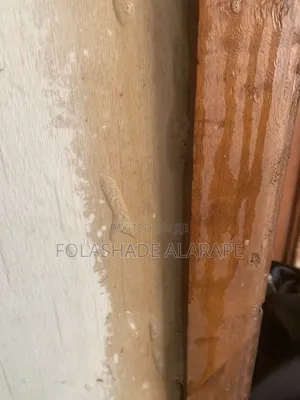 Professional Cleaning