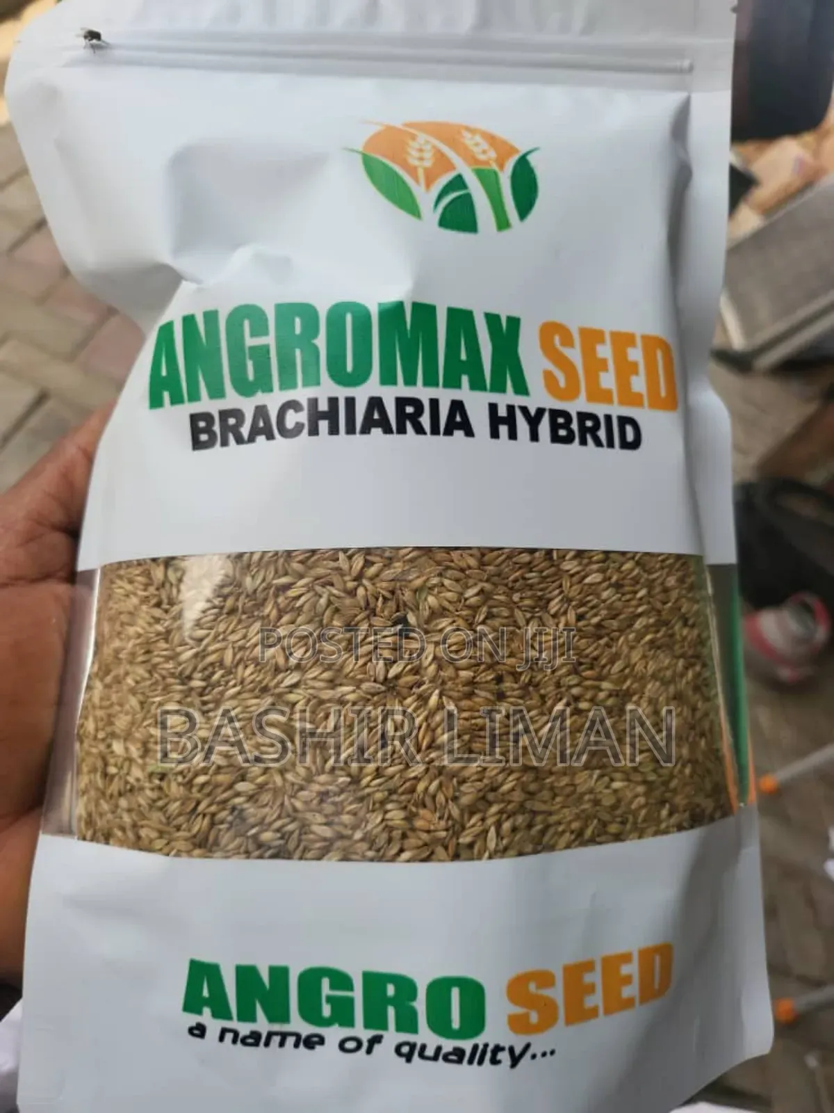 Bricharia Mulato Grass Seed