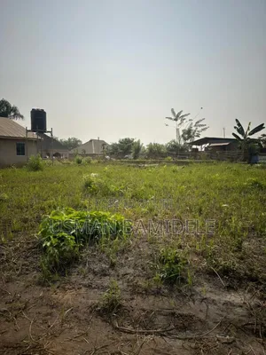 Land Surveyor