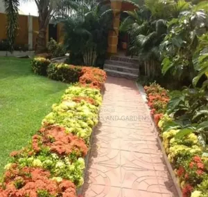 Outdoor Beautification