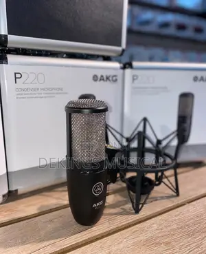 Akg P220 Large Diaphragm Studio Condenser Microphone
