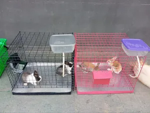 Automated Rabbit Pet & Commercial Cages