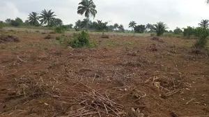 Buy 3 Acres Get 1 Acre Free
