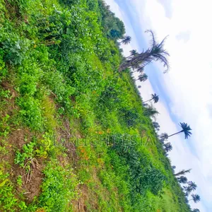 Two Plots of Land for Outright Sale in Portharcourt