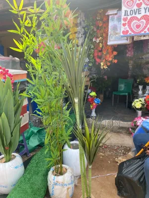 Luxury Potted Plant