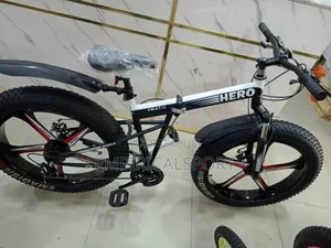 Alloyed Fat Tyre Bicycle