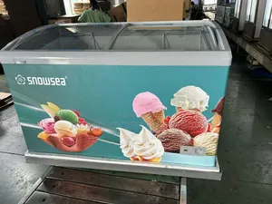 Snowsea Display Freezer