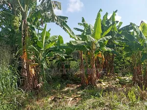 For Sale: Plots of Land at Trans Kalabari, Portharcourt