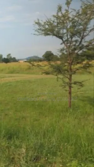 Hot Sales Just Out in the Market in Jabi 1.2ha Mixed Land