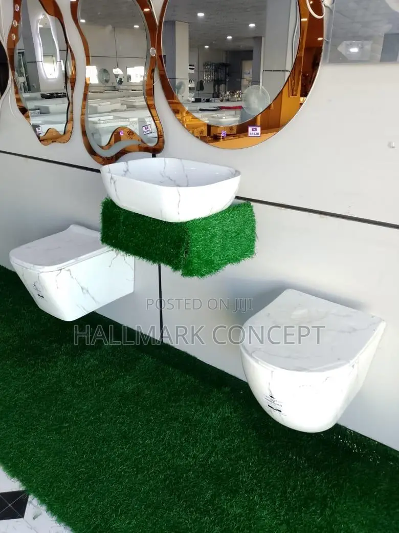 Concealed Water Cistern With Basin.