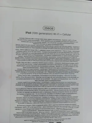 New Apple iPad (2022) 256 GB