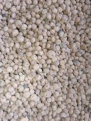 Tiger Nut 1kg Pack