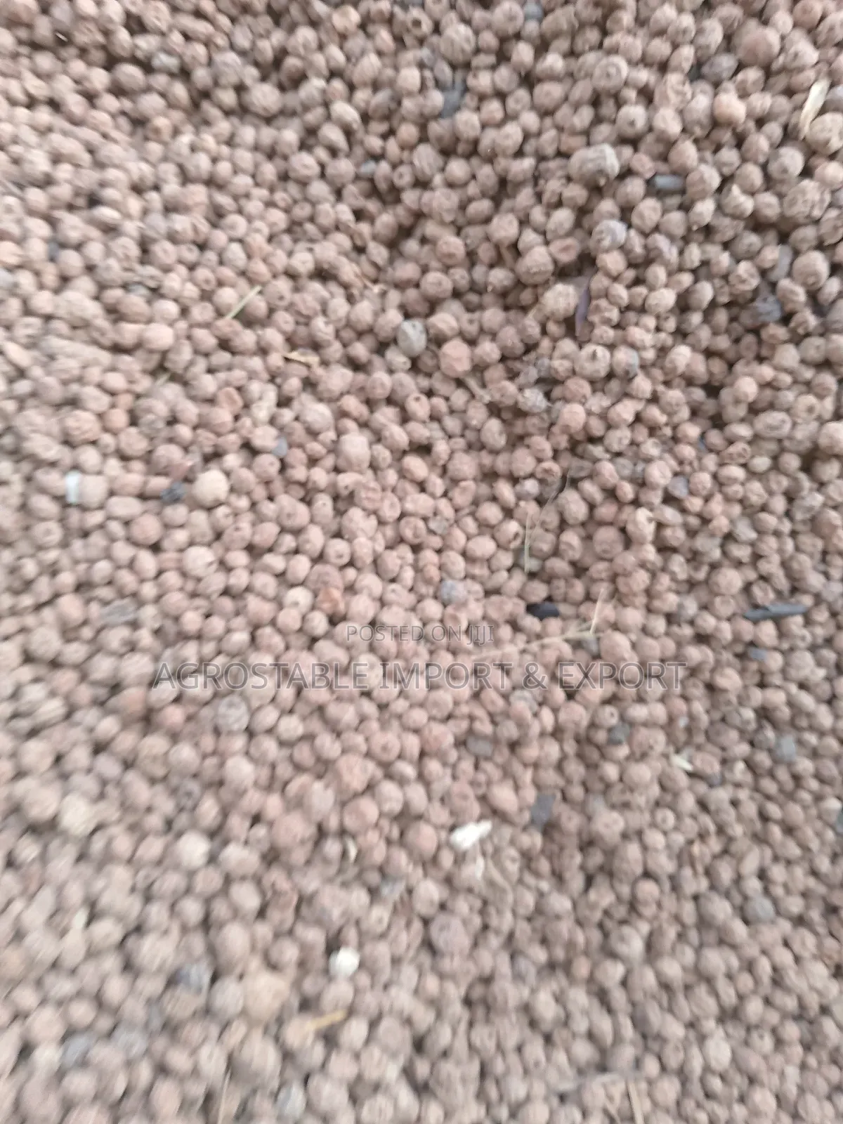 Tiger Nut 1kg Pack