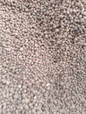 Tiger Nut 1kg Pack