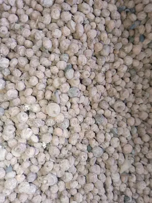 Tiger Nut 1kg Pack