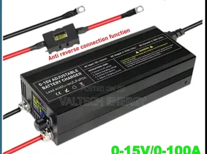 0v - 15v 60a/80a/100a Adjustable Battery Charger