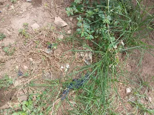 548sqm (Jv ) Joint Venture Ogudu Gra