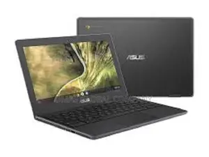 Photo - New Laptop Asus Chromebook C300 4GB Intel Pentium eMMC 32GB