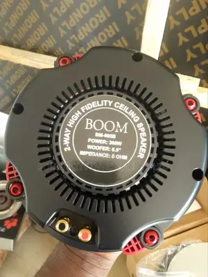 Boom 300w Ceiling Speaker