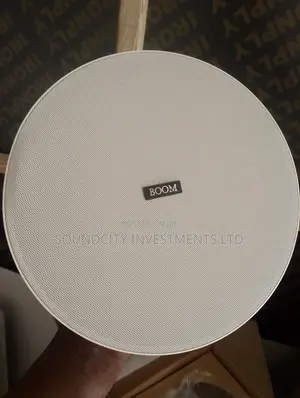 Boom 300w Ceiling Speaker