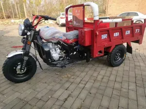 Photo - Cargo Tricycle Bike