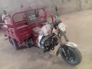 Cargo Tricycle Bike