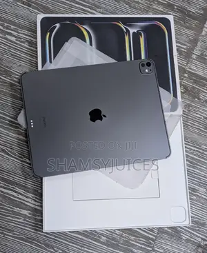 Apple iPad Pro 11 (2024) 256 GB Gray