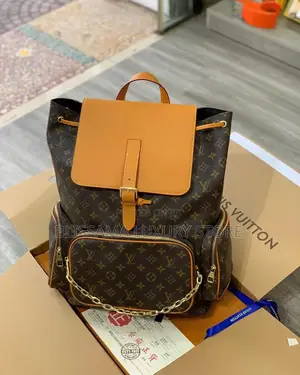 Louis Vuitton Backpack / Laptop Backpack – Stylish, Durable Spacious