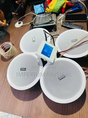 4inches Screen With 4 Ceiling Speaker