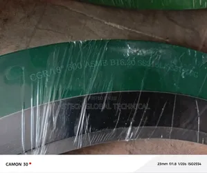 18" X 600# Spiral Wound Gasket