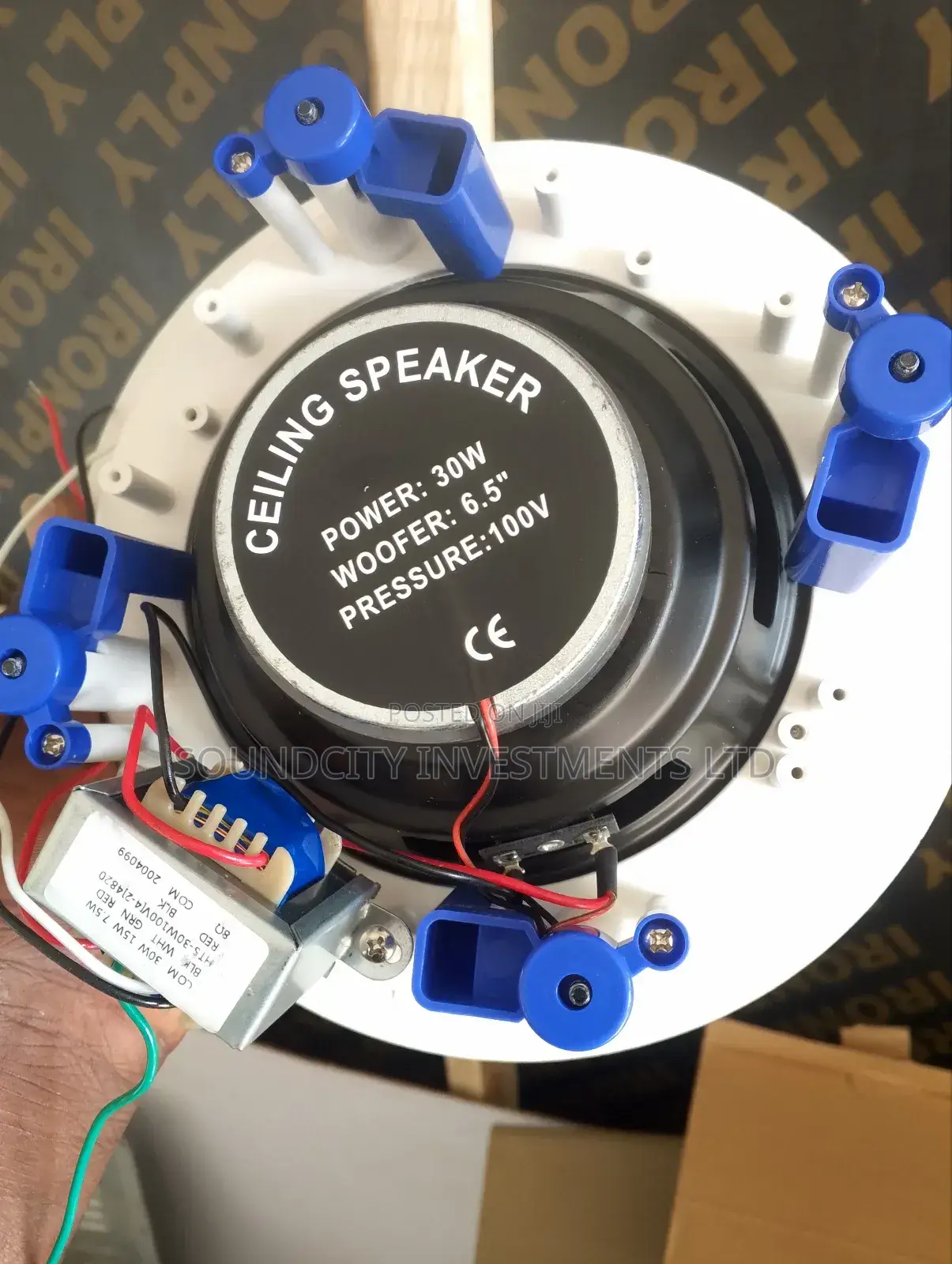30w Dart Ceiling Speaker(D30)