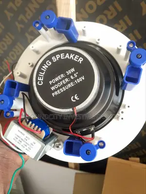 30w Dart Ceiling Speaker(D30)