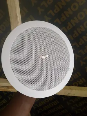 30w Lucky Tone Ceiling Speaker.