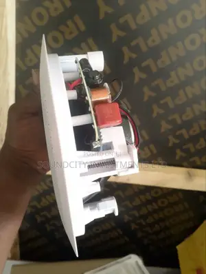 30w Lucky Tone Ceiling Speaker.