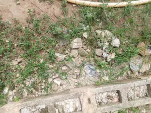 1 600 SQM Plot Ikeja 4 Sale / (Jv) Prime Location